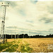 Timothy Land Photo 33