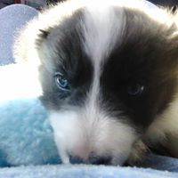 Tiffany Doyle Photo 41