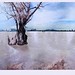 Debra Howell Photo 43