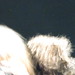 Tim Steed Photo 9
