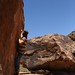 Brandon Roth Photo 7
