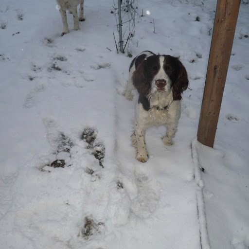Frances Hammond Photo 24