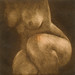Yolanda Silva Photo 13