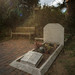 Lawrence Graves Photo 29