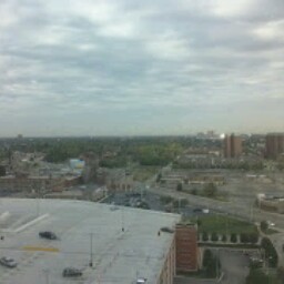 Antoinette Murray Photo 13