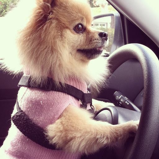 Stacy Ortiz Photo 19