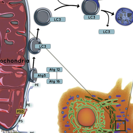 Harold Sims Photo 14