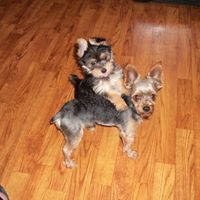 Janice Rector Photo 7