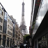 Maria Wilcox Photo 7