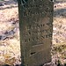 Nancy Buckner Photo 11