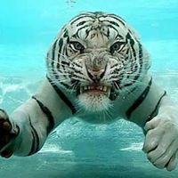 Gregory Small Photo 5