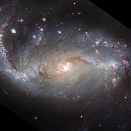 Leigh Jenkins Photo 6