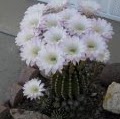 Vicki Larson Photo 38