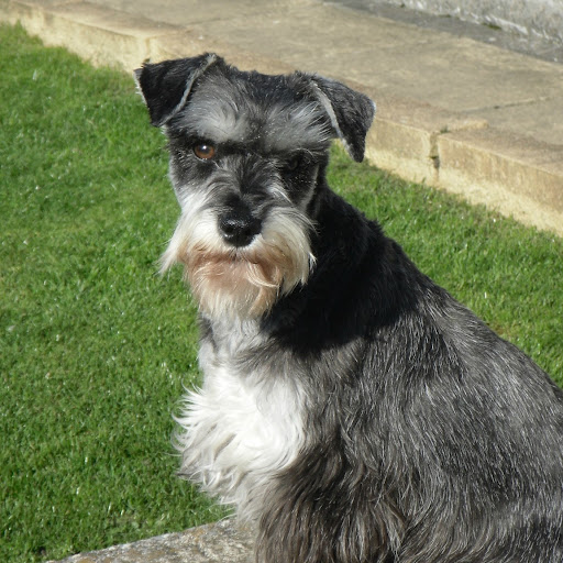 Pauline Evans Photo 26