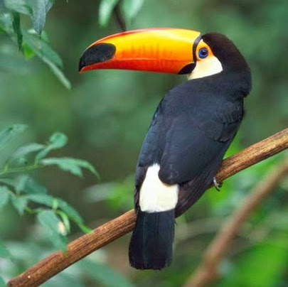 Eddie Parker Photo 2