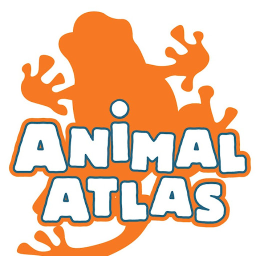 Peter Mcdonnell Photo 6