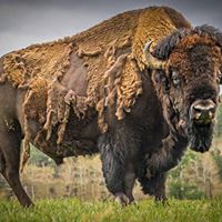 Marilyn Iverson Photo 17