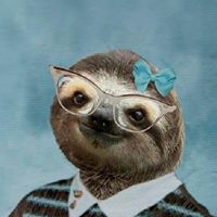 Cynthia Gorman Photo 12