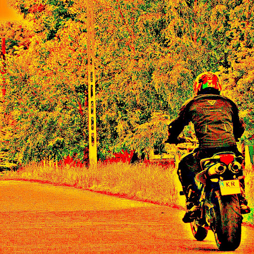 Robert Robert Photo 9