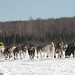 Marshall Dewolfe Photo 4