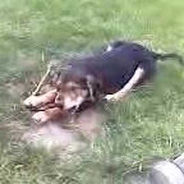 Paul Roth Photo 16 Paul Roth Photo 16