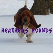 Heather Gosnell Photo 13