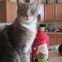 Cheryl Moye Photo 10