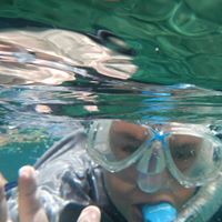 John Farnsworth Photo 13