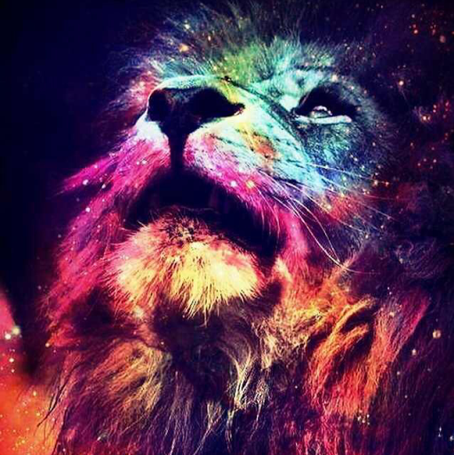 Justin Reese Photo 13