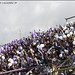 Armando Calderon Photo 22