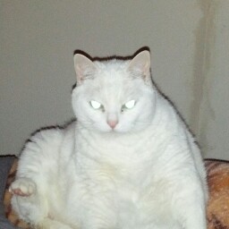 Darlene Nicholson Photo 28