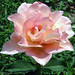 Tiffany Bush Photo 12
