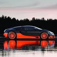 Timothy Bush Photo 11