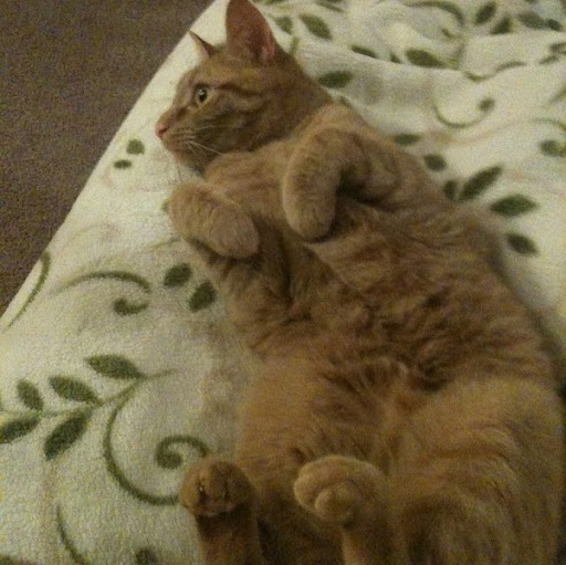 Pam Perkins Photo 19