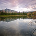 Raymond Arvin Photo 13