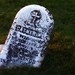 Catherine Lanham Photo 19