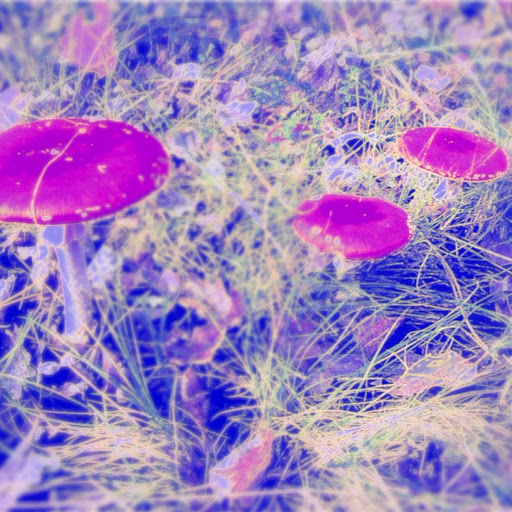 Nancy Curtis Photo 20 Nancy Curtis Photo 20