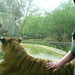Katie Doolittle Photo 21