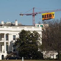 Kathleen Mccarty Photo 13