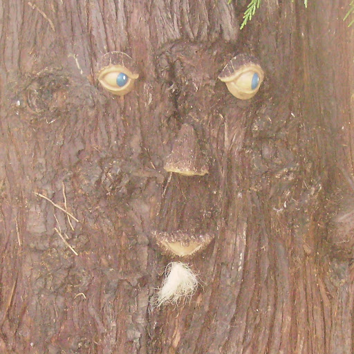 Michael Gaines Photo 27