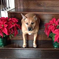 Maria Cartwright Photo 8