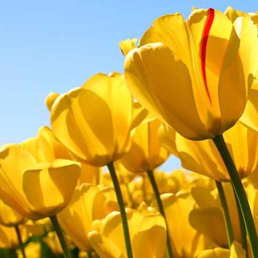 Pamela Decker Photo 26