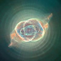 Ronald Brewer Photo 12