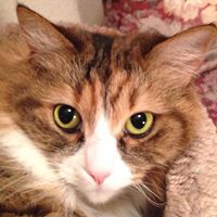 Allan Rich Photo 5 Allan Rich Photo 5