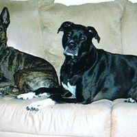 Sandy Conley Photo 30