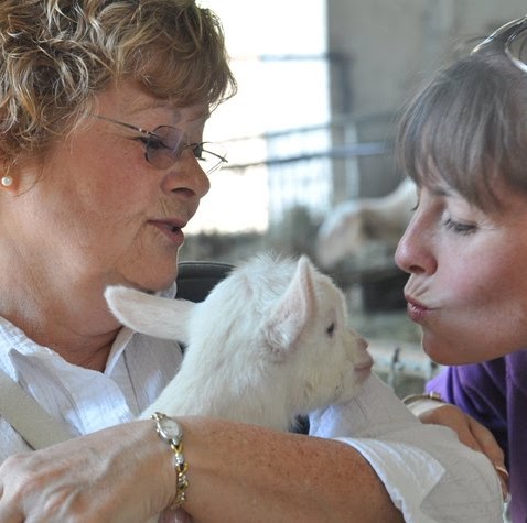 Nancy Hogan Photo 16