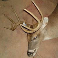 Ann Dill Photo 14