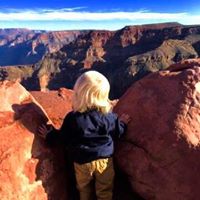 William Toomey Photo 23