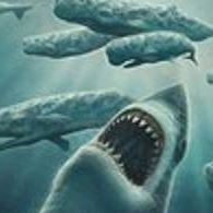 Elizabeth Tally Photo 1