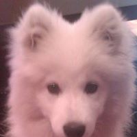 Adrienne Brady Photo 13